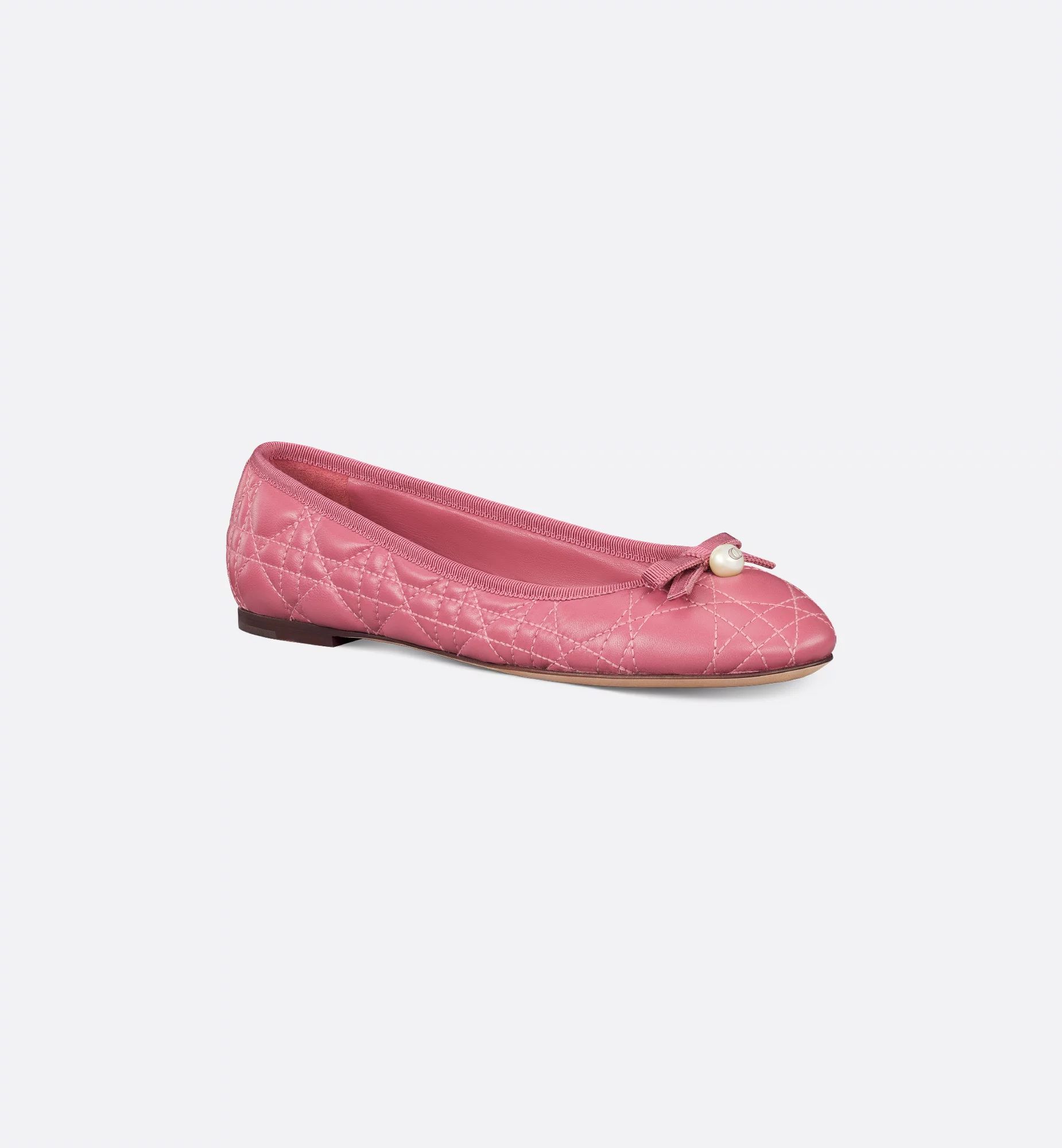 Dior Ballet Flat - Image 1
